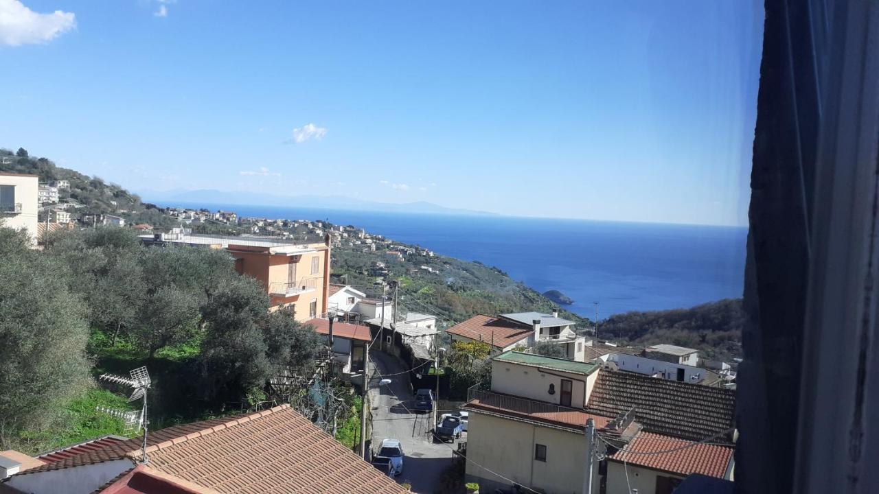 Il Quadrifoglio Villa Massa Lubrense Exterior foto