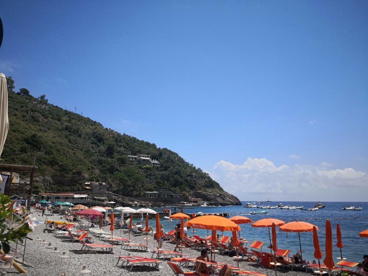 Il Quadrifoglio Villa Massa Lubrense Exterior foto