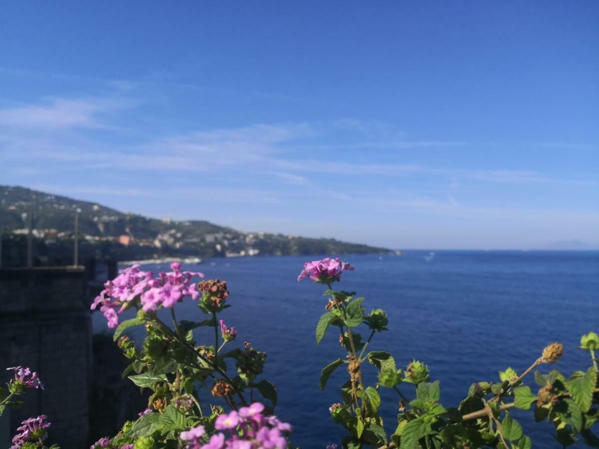 Il Quadrifoglio Villa Massa Lubrense Exterior foto